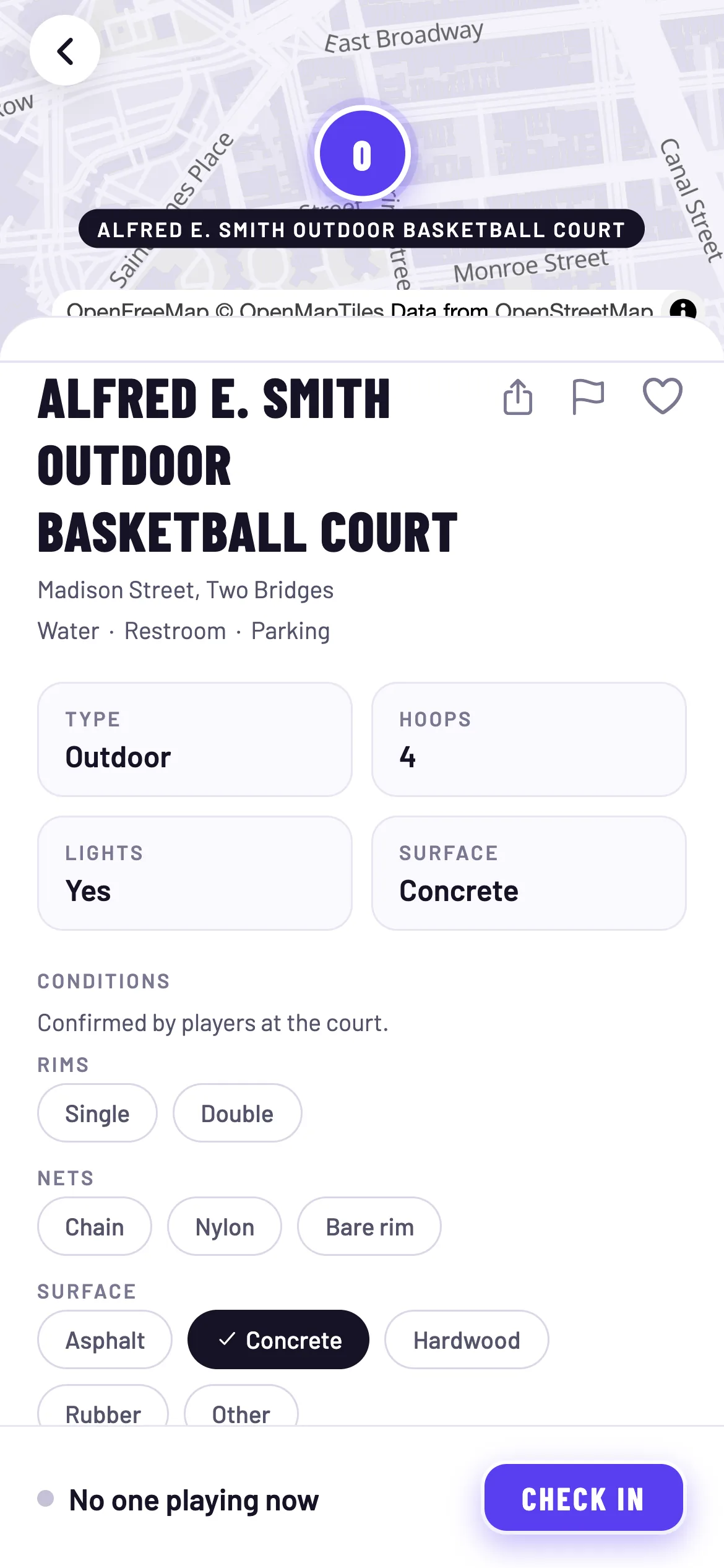 A court detail screen: hoops, lights, surface and live headcount